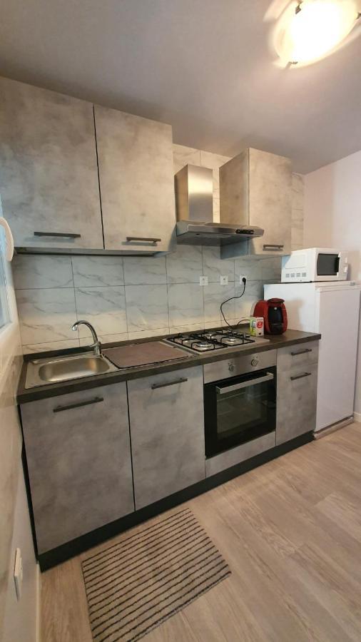 Appartement Neuf Dans Maison Villargondran エクステリア 写真